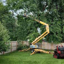 Seasonal Cleanup (Spring/Fall) in Flemington, NJ