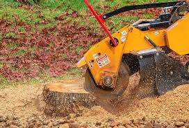 Best Commercial Tree Services  in Flemington, NJ